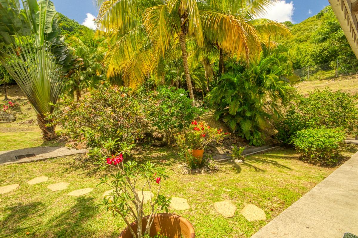 37Location villa piscine le diamant martinique_jardin